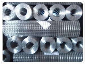 Antikorrosion 1/4 Zoll geschweißte Länge Draht-Mesh Electric Galvanized Nets 5-50m