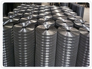 Edelstahl 316/316L /304L/304 schweißte Maschendraht 0.4M-2M Width Anti Oxidation